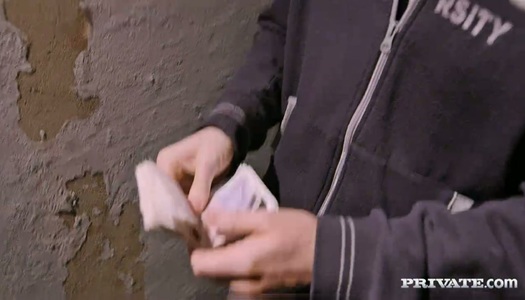 Stunning brown haired hoe Tara Blows shows off her big ass porn pics