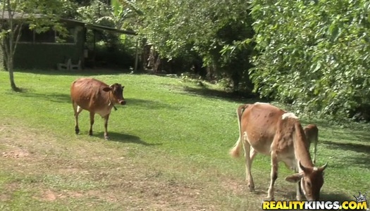 Bosomy Latin milf shows off her juicy ass and big boobs porn pics