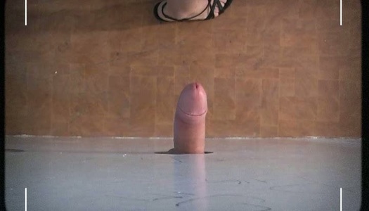 Ordinary looking brunette Nicole doesn't hesitate to suck a dick in toilet porn pics