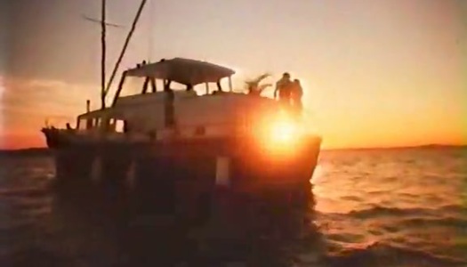 Gorgeous looking brunette whore rode staff cock on yacht porn pics