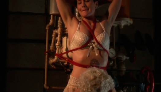 Horn-mad harlot feels up sexy body of Dylan Ryan while she is tied up in standing position porn pics