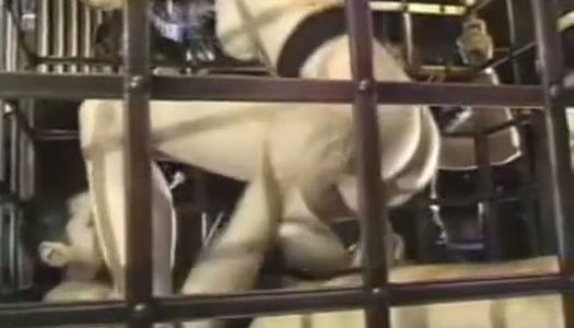 Brunette whore in a cage gives deepthroat blowjob to a duo of dudes porn pics