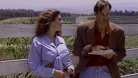 Bosomy brunette in shorts seduces dude and gives him BJ in the village porn pics