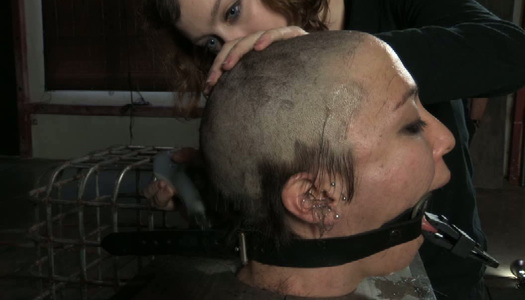 Several chicks tie up sex-slave and shave her head porn pics