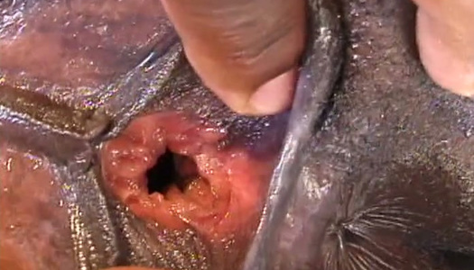 Feisty ebony chick gets ruthlessly fucked on the floor porn pics