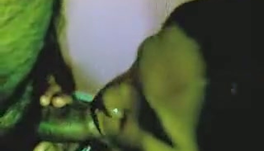 Busty Indian chick sucks tiny penis of her fat boyfriend porn pics