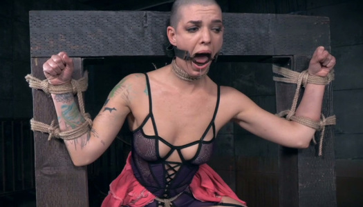 Heavily restrained bald chick Abigail Dupree loves hard BDSM porn pics