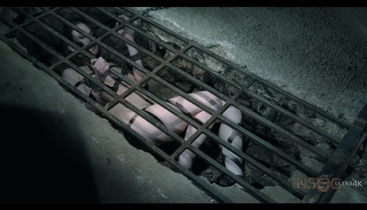 Naked bitch Sierra Cirque is fucked and punished in the dark cold basement porn pics