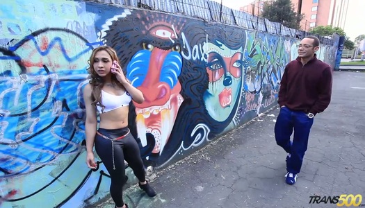  Die verrückte Transe Irina Chanell wird in ein gestrecktes Arschloch gefickt porno bilder