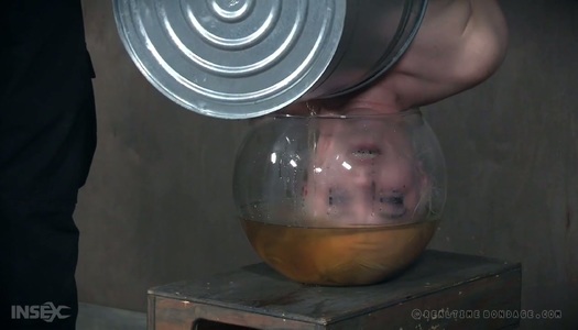 Suspended upside down hooker Dresden gets punished in the basement porn pics