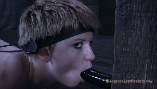 Blonde skinny tramp Alani Pi is locked on the table in doggy style position porn pics