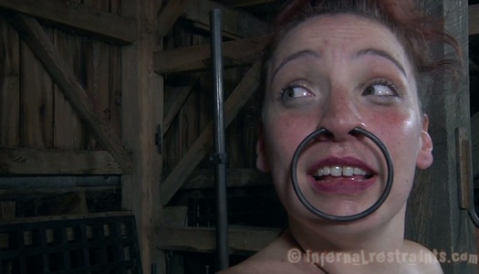 Screwed bushbitch Maggie Mead gets crucified while her clit gets stimulated with vibrator porn pics