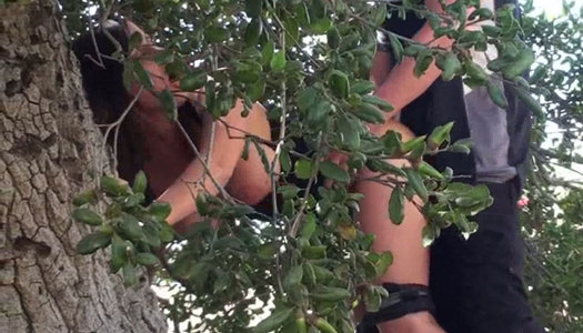 Roadside doggy fuck with smexy brunette. porn pics